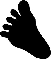 CKG00007.WMF