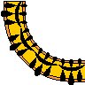 CORN216.WMF
