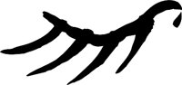 CKR00114.WMF