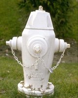 CLR50056.JPG
