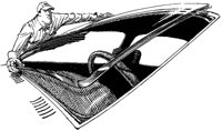 CLX50050.JPG