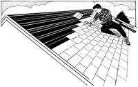 CME50007.TIF