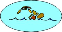 COC00031.WMF