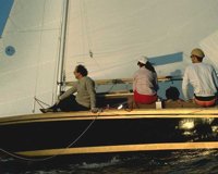 COR50078.JPG