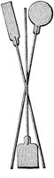 COQ50010.TIF
