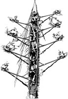 COQ50002.TIF