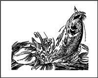 CQG00014.WMF