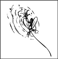 CQA00013.WMF