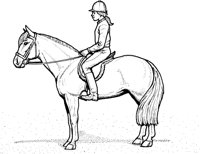 CQT50119.TIF