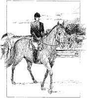 CQT50013.TIF