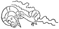 CUE50107.JPG