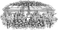 CTX50005.TIF