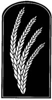 CUQ50041.JPG