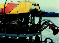 CVF50005.JPG