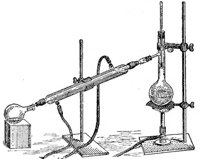 CVM50008.JPG