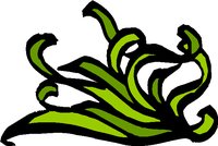 CORN527.WMF