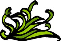 CORN528.WMF