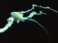 CWA50388.JPG