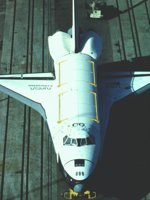 CWA50245.JPG