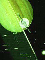 CVZ50226.JPG