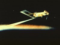 CVZ50222.JPG