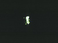 CVZ50074.JPG