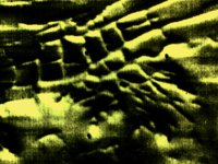 CVX50516.JPG