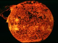 CVX50497.JPG