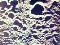 CVX50484.JPG