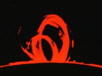 CVX50472.JPG