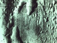 CVX50432.JPG
