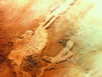 CVX50382.JPG