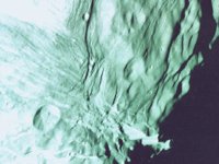 CVX50347.JPG
