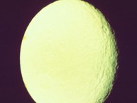 CVX50342.JPG