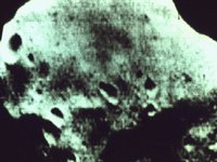 CVX50298.JPG