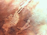 CVX50273.JPG