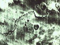 CVX50268.JPG