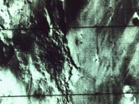 CVX50264.JPG