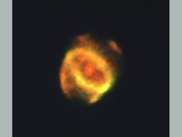 CVX50199.JPG