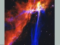 CVX50198.JPG