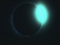 CVX50180.JPG