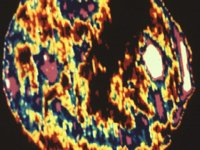 CVX50172.JPG