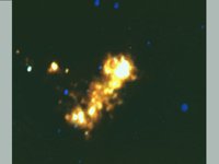 CVX50171.JPG