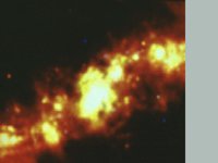 CVX50159.JPG