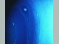 CVX50136.JPG