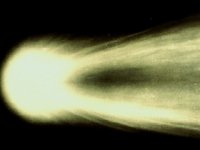 CVX50047.JPG