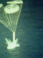 CVW50112.JPG