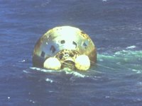 CVW50096.JPG