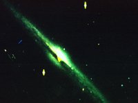 CVU50061.JPG