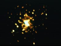 CVU50047.JPG